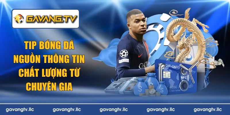 Tip Bóng Đá – Nguồn Thông Tin Chất Lượng Từ Chuyên Gia
